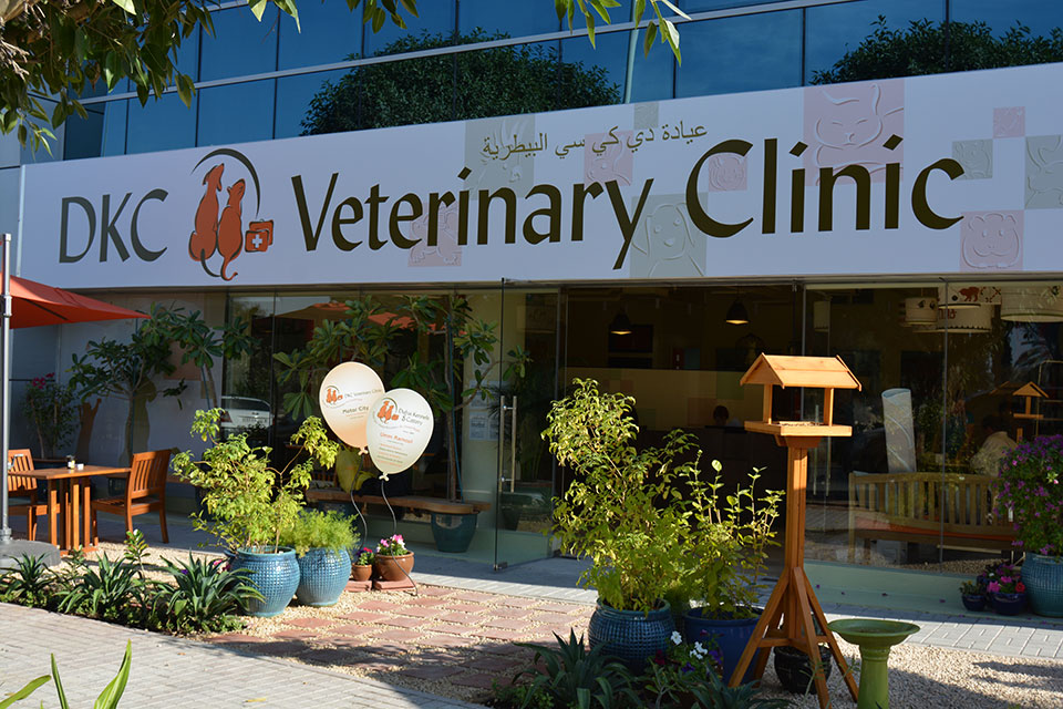 DKC • Veterinary Clinic and Hospital for your Pet • Dubai, UAE