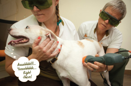 WHAT IS LASER THERAPY?