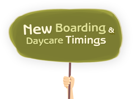 dkc new timing